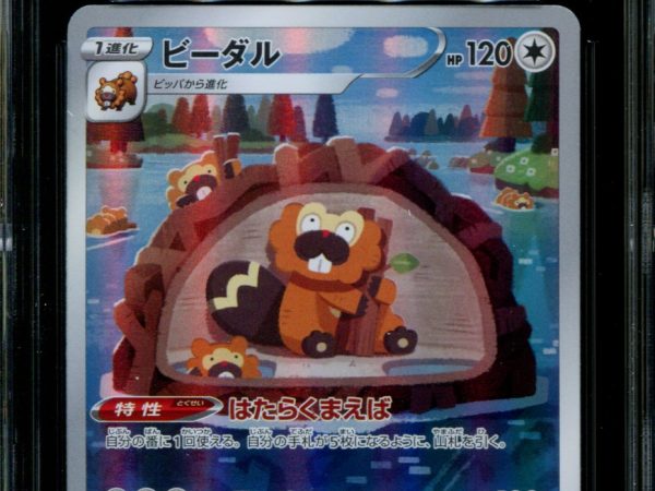 Bibarel - 200/172 - CGC 10 - Art Rare - VSTAR Universe - Pokemon - 56165