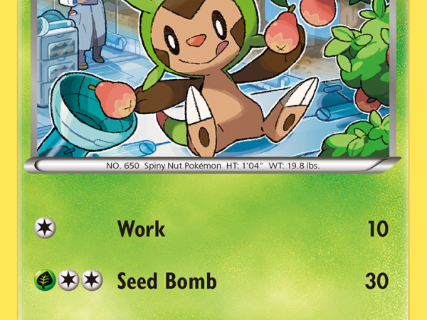 Chespin [BREAKthrough]