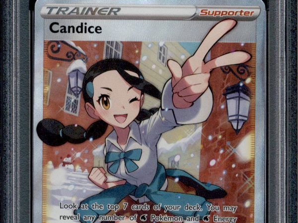 Candice - 189/195 - PSA 10 - Full Art - Silver Tempest - Pokemon - 73359