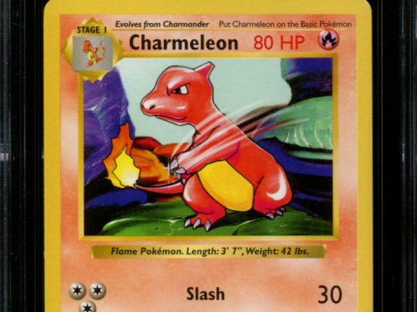 Charmeleon - 24/102 - CGC 8 - Shadowless - Base Set - Pokemon - 36164