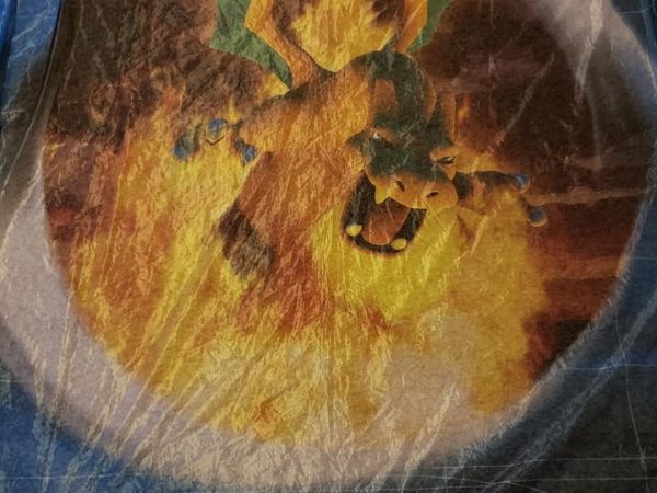 Charizard - The Figure Battle Game - Official Pokemon Promotional Fabric Banner - TFG
