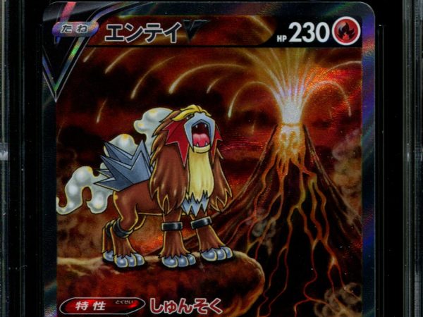 Entei V - 213/172 - CGC 10 - Special Art Rare - VSTAR Universe - Pokemon - 56114