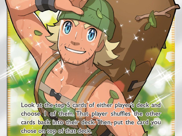 Hiker (SV85/SV94) [Sun & Moon: Hidden Fates - Shiny Vault]