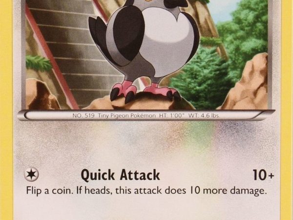 Pidove (21/30) [Black & White: Trainer Kit - Zoroark]