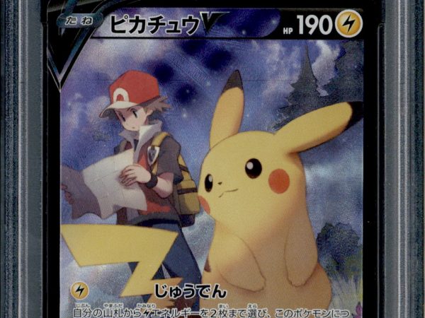 Pikachu V - 222/184 - PSA 10 - CSR - Alt Art - Vmax Climax - Pokemon - 65429