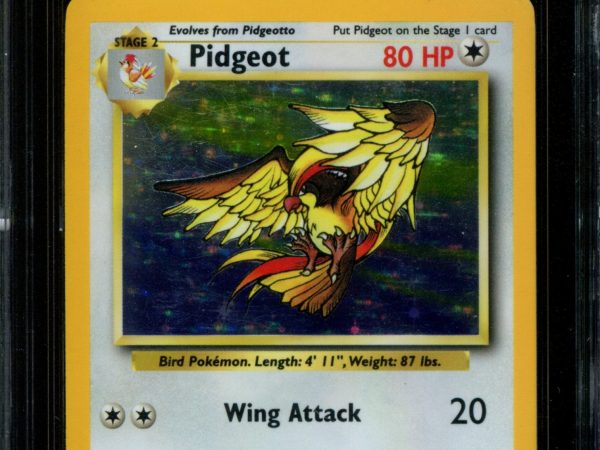 Pidgeot - 8/64 - CGC 7 Near Mint - No Symbol Jungle Holo - 65009