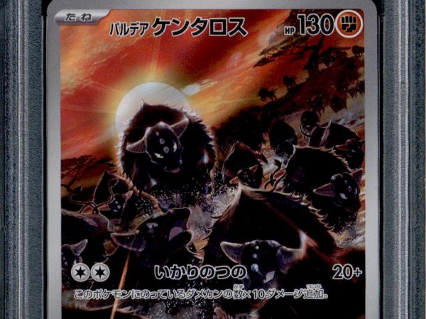 Paldean Tauros - 084/073 - PSA 10 - AR Japanese - SV1a - Pokemon - 55866
