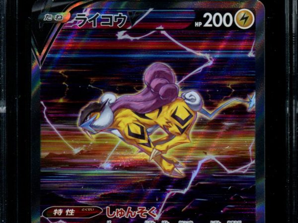 Raikou V - 218/172 - CGC 10 PERFECT - Special Art Rare - VSTAR Universe - Pokemon - 56021