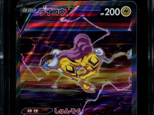 Raikou V - 218/172 - CGC 9.5 - Special Art Rare - VSTAR Universe - Pokemon - 56027