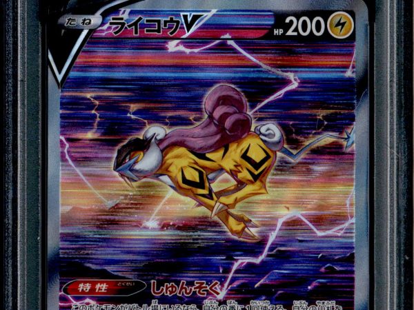 Raikou V - 218/172 - PSA 10 - SAR - Vstar Universe - Pokemon - 73745