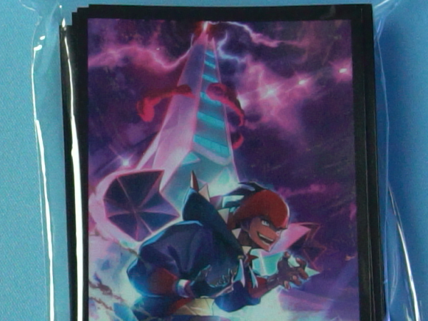 Raihan & Duraludon Vmax Sleeves - Set of 64 Sleeves - Japanese - Pokemon Center
