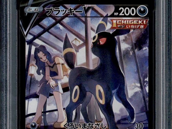 Umbreon V - 244/184 - PSA 10 - CSR - Alt Art - Vmax Climax - Pokemon - 65404