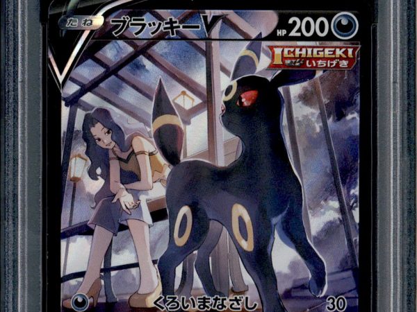 Umbreon V - 244/184 - PSA 10 - CSR - Alt Art - Vmax Climax - Pokemon - 65408