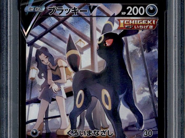 Umbreon V - 244/184 - PSA 10 - CSR - Alt Art - Vmax Climax - Pokemon - 65406