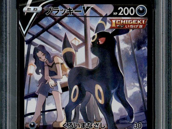 Umbreon V - 244/184 - PSA 10 - CSR - Alt Art - Vmax Climax - Pokemon - 65403
