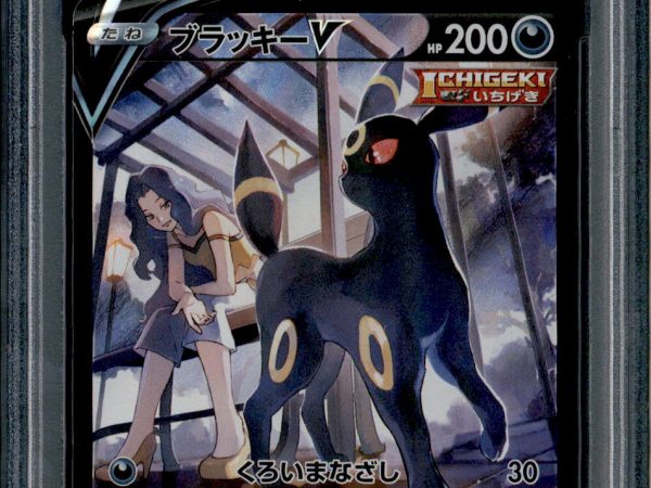 Umbreon V - 244/184 - PSA 10 - CSR - Alt Art - Vmax Climax - Pokemon - 65407